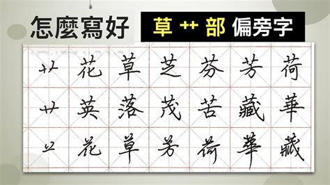 草部首的名字|部首是「艸」的國字一覽